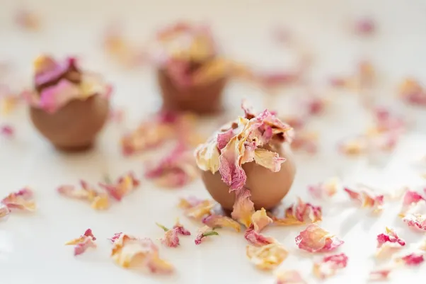 Casino Rocket Slots App Android/iOS